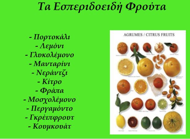 Προβολή της μεταλλικής κατασκευής του χειροκίνητου αποχυμωτή BFJ2000 Bormann Elite με inox στίφτη και ανθεκτική βάση. Μεταλλική Κατασκευή Αποχυμωτή BFJ2000 Bormann Elite